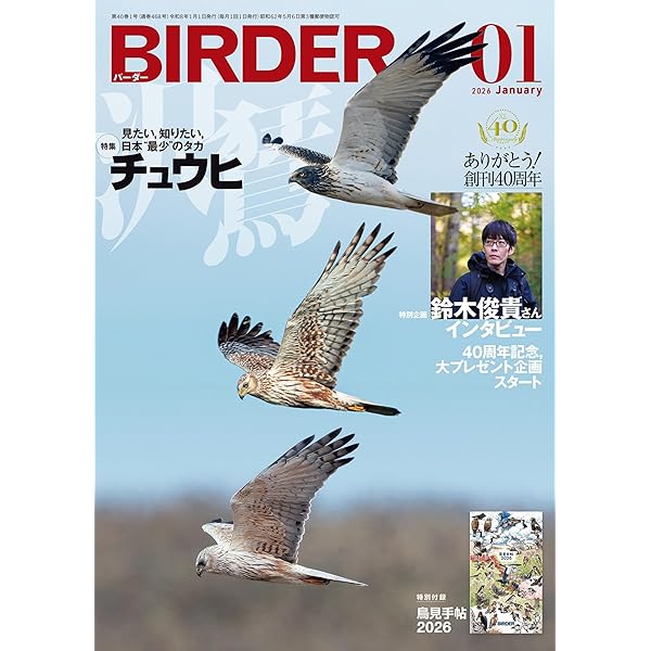 BIRDER 2024年 01 月号 [雑誌] |本 | 通販 | Amazon